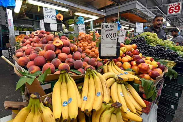 13/09/2019 Roma. Prezzi stracciati al mercato coperto di Val Melaina. Qui l'inflazione rimane un miraggio, banco di frutta