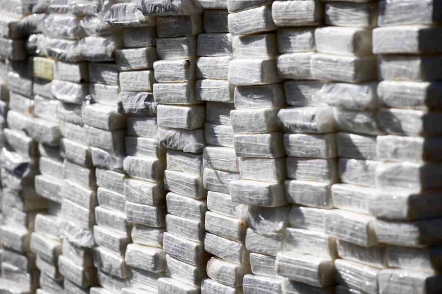 Porto di Livorno, container con droga sequestrata, operazioni antidroga, traffico internazionale