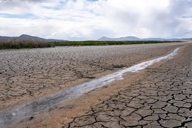 A small stream runs through the dried, cracked earth of a former wetland near Tulelake, Calif., Wednesday June 9, 2021. The area was drained in an effort to prevent an outbreak of avian botulism, which occurs when water levels become too low. (AP Photo/Nathan Howard)