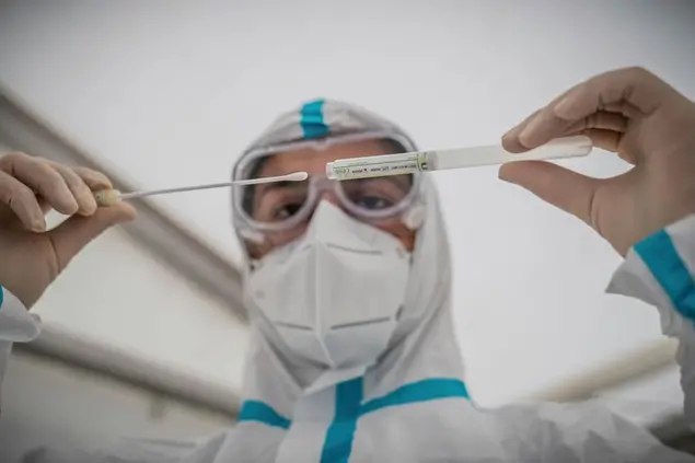 A member of the medical staff inserts a cotton swab into a tube after a PCR smear to test for Covid-19 at a corona test center in Berlin, Germany, Wednesday, Oct. 14, 2020. (Michael Kappeler/dpa via AP)