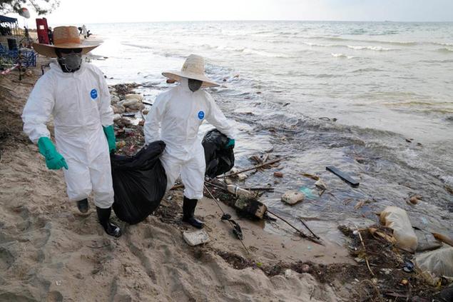 Workers carry out a cleanup operation on Mae Ramphueng Beach after a pipeline oil spill off the coast of Rayong province in eastern Thailand, Sunday, Jan. 30, 2022. Some 20-50 tons of oil are estimated to have leaked Tuesday night in the Gulf of Thailand from an undersea hose used to load tankers at an offshore mooring point owned by the Star Petroleum Refining Co. (AP Photo/Sakchai Lalit)