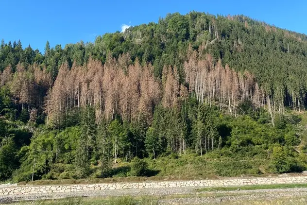 Foto Ferdinando Cotugno