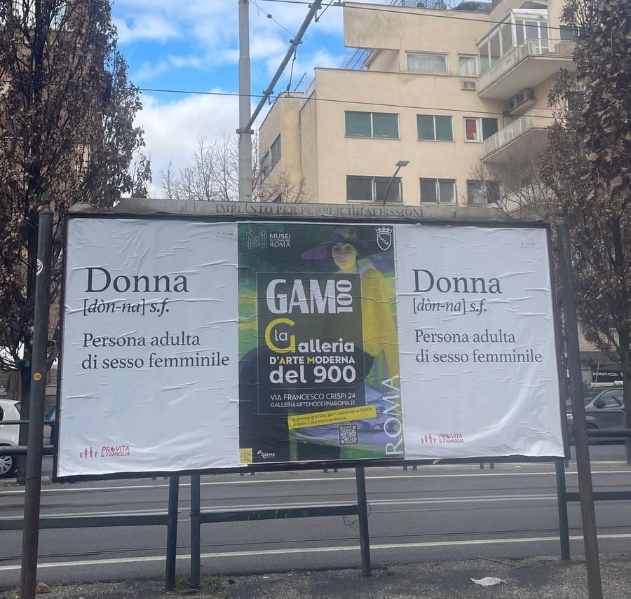 Definire chi è donna? Cari Pro vita, non basta certo un dizionario