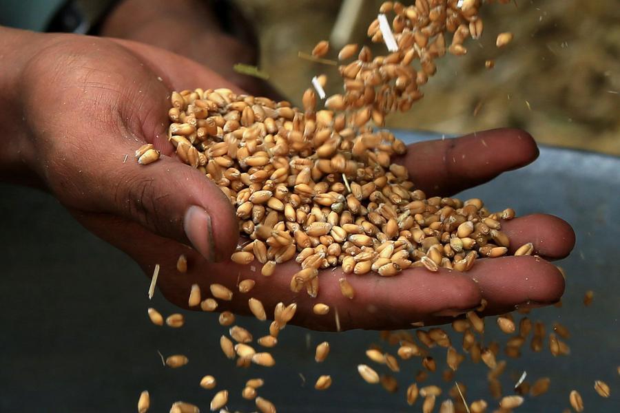 Vecchio scarto, nuova biografia: ecco perché la fibra non può diventare religione