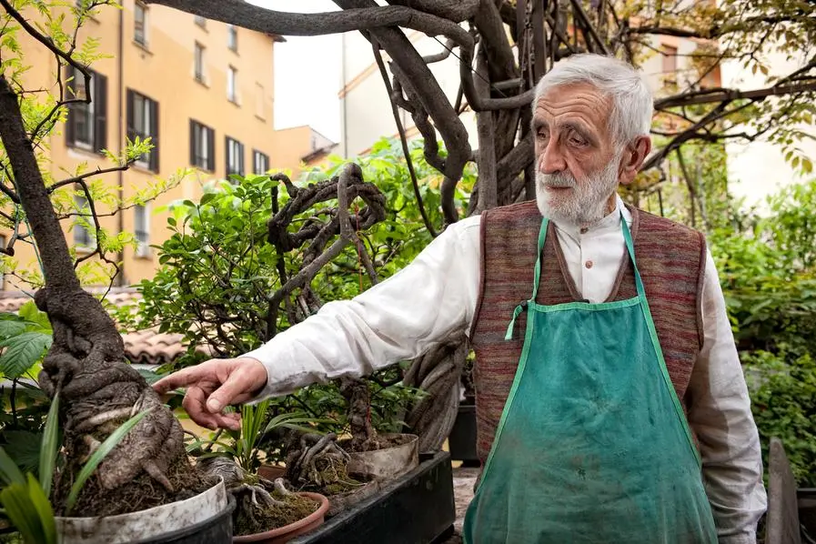Enzo Mari (Foto: Gian Mattia D'Alberto / LaPresse)
