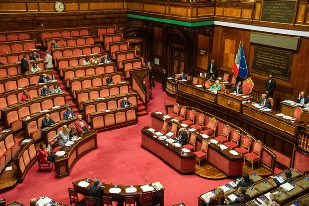 Ddl femminicidio, il Senato approva il testo all'unanimità