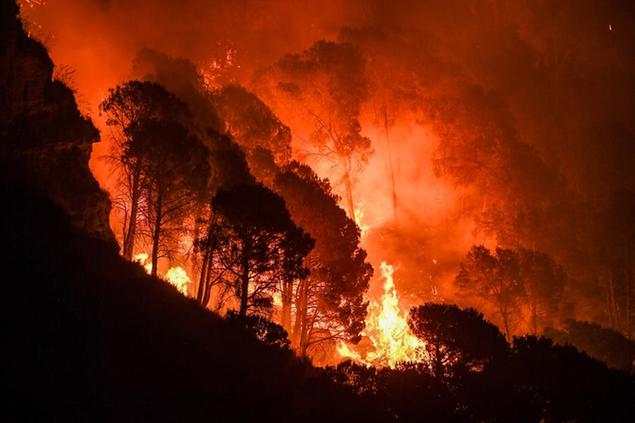 11/08/2021 Reggio Calabria, incendi boschivi in tutta la Calabria, colpito anche il Parco Nazionale dell'Aspromonte.