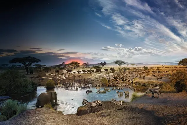 FOTOGRAFIA DI STEPHEN WILKES | DAY TO NIGHT™️ - Serengeti National Park, Tanzania, Day to Night™, 2015\\u00A0 © Stephen Wilkes
