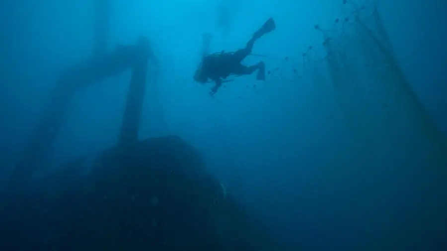 Fonte: Marevivo - R. Cingillo