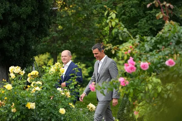 (Il cancelliere tedesco e il premier spagnolo insieme in Brandeburgo il 30 agosto. Foto AP)