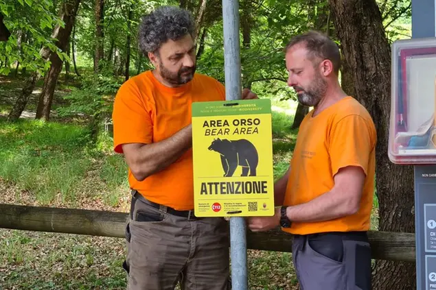 Cartelli che avvertono della presenza dell'orso (Foto Ufficio stampa Trentino)