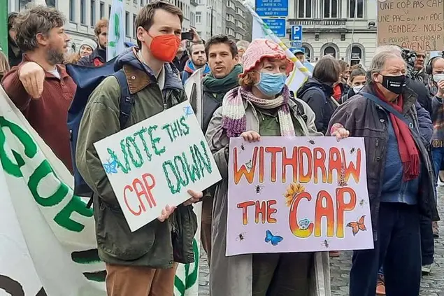 (La protesta dei Fridays a Berlino durante il voto sulla Pac. La delegazione tedesca dei socialdemocratici si è disallineata al suo gruppo e ha votato contro la riforma)