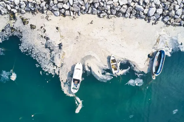 An aerial photo of the sea at the Bostanci shore, in Asian side of Istanbul, Monday, June 7, 2021, with a huge mass of marine mucilage, a thick, slimy substance made up of compounds released by marine organisms, in Turkey's Marmara Sea. Mayoral workers and experts started Tuesday to clean the Marmara Sea from an outbreak of \\\"sea snot\\\" that is alarming marine biologists and environmentalists.(AP Photo)