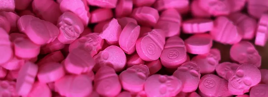 15 June 2021, North Rhine-Westphalia, Cologne: Ecstasy tablets in the shape of skulls lie on the table at the customs office. Customs seized ecstasy tablets with a street value of 1.3 million euros at Cologne/Bonn airport. (To dpa/lnw: \\\"Customs discovers record amounts of ecstasy and cannabis at the airport\\\") Photo by: Oliver Berg/picture-alliance/dpa/AP Images