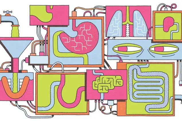 Alice Micol per Mimaster illustrazione