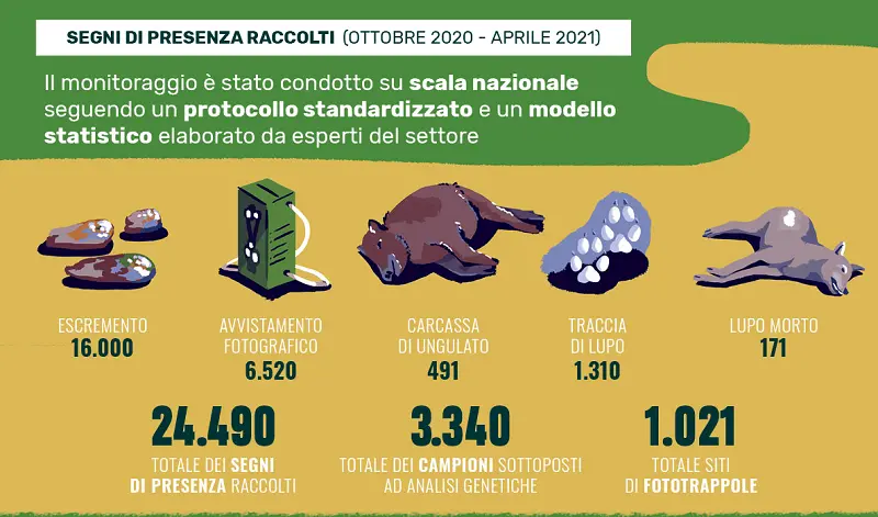 Proteggi il lupo  Sostieni WWF Italia