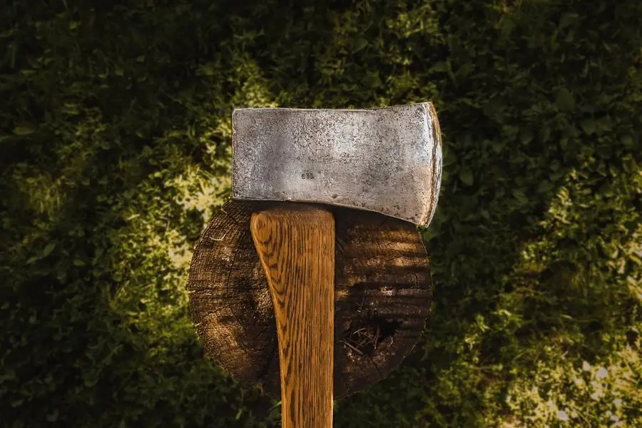 Il taglio con l'accetta - Foto Unsplash