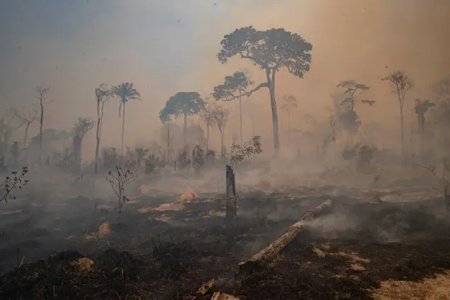 FILE - In this Aug. 23, 2020 file photo, fire consumes land recently deforested by cattle farmers near Novo Progresso, Para state, Brazil. The season of Brazilian forest fires has begun, and early data plus severe drought is sparking concern that nationwide destruction in 2021 will stay at the high levels recorded in the past two years, despite efforts to tamp down the blazes. (AP Photo/Andre Penner, File)