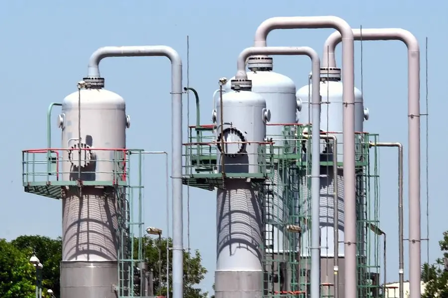 (Foto Waltraud Grubitzsch/picture-alliance/dpa/AP Images)