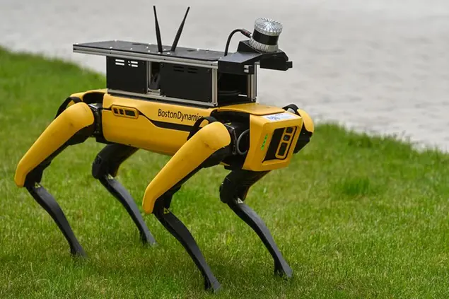 Il cane-robot di Spot, della Boston Dynamics (CTK via AP Images)